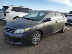 2013 Toyota Corolla Base en venta en Elgin, IL