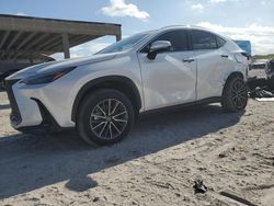 Salvage cars for sale at West Palm Beach, FL auction: 2024 Lexus NX 350H Base