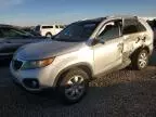 2011 KIA Sorento Base