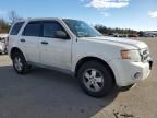 2010 Ford Escape XLS