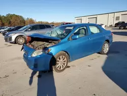 Salvage cars for sale at Gaston, SC auction: 2010 Toyota Corolla Base