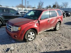 2012 Ford Escape XLT en venta en Oklahoma City, OK