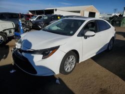 Salvage cars for sale at Brighton, CO auction: 2024 Toyota Corolla LE