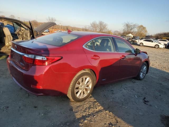 2013 Lexus ES 300H