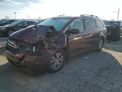 Honda Vehiculos salvage en venta: 2016 Honda Odyssey EXL