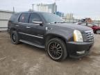 2010 Cadillac Escalade Luxury