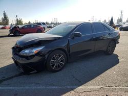 Salvage cars for sale from Copart Rancho Cucamonga, CA: 2017 Toyota Camry LE