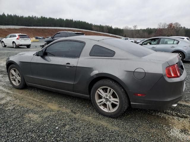 2013 Ford Mustang