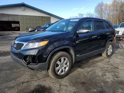 Lotes con ofertas a la venta en subasta: 2013 KIA Sorento LX