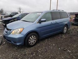 Salvage cars for sale at Cicero, IN auction: 2009 Honda Odyssey EX