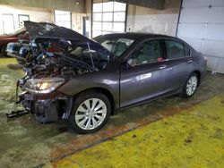 Salvage cars for sale at Indianapolis, IN auction: 2014 Honda Accord EXL