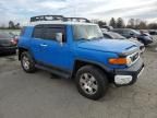 2007 Toyota FJ Cruiser