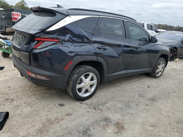 2023 Hyundai Tucson Blue