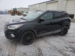 Salvage cars for sale at Rocky View County, AB auction: 2018 Ford Escape SE