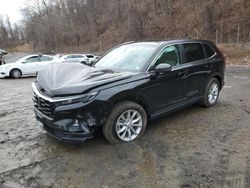 Salvage cars for sale at Marlboro, NY auction: 2024 Honda CR-V EXL