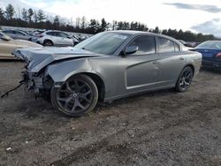 Salvage cars for sale at auction: 2012 Dodge Charger SE