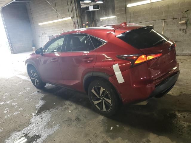 2020 Lexus NX 300