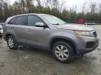 2011 KIA Sorento Base