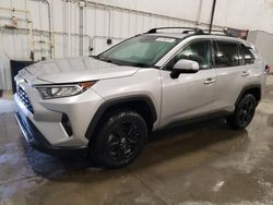 Salvage cars for sale at Avon, MN auction: 2019 Toyota Rav4 XLE