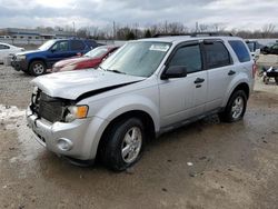 Ford Vehiculos salvage en venta: 2010 Ford Escape XLT