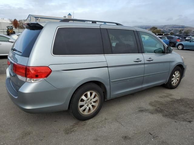 2008 Honda Odyssey EXL