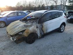 Salvage cars for sale at North Billerica, MA auction: 2016 Ford Escape SE