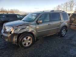 Honda salvage cars for sale: 2010 Honda Pilot EXL