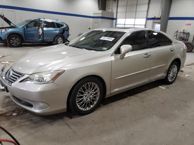 2010 Lexus ES 350