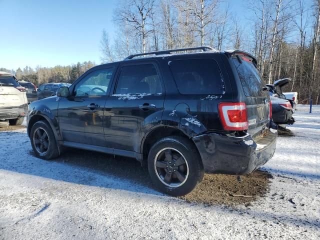 2012 Ford Escape XLT