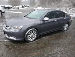 Honda Accord exl salvage cars for sale: 2014 Honda Accord EXL