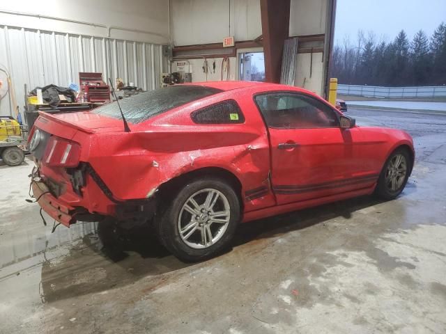 2010 Ford Mustang