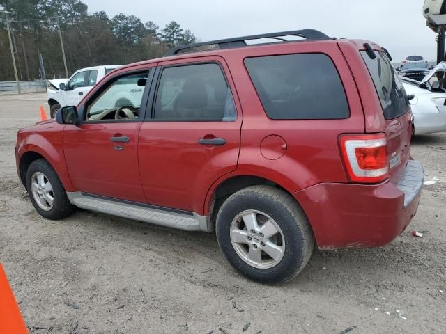 2010 Ford Escape XLT