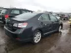 2010 Lexus HS 250H