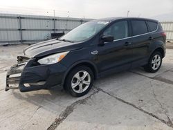 Ford Escape Vehiculos salvage en venta: 2013 Ford Escape SE