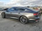 2019 Audi S5 Premium Plus