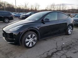 Tesla salvage cars for sale: 2021 Tesla Model Y