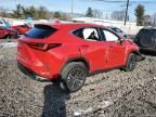 2024 Lexus NX 350H Base