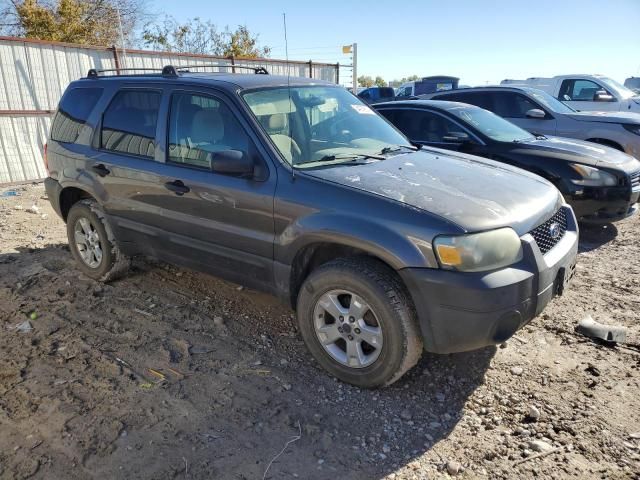 2006 Ford Escape XLT