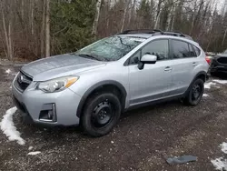 Subaru Vehiculos salvage en venta: 2016 Subaru Crosstrek Premium