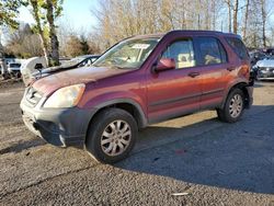 Salvage cars for sale at Portland, OR auction: 2006 Honda CR-V EX