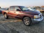 2005 Dodge Dakota Quad SLT