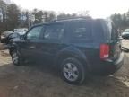 2011 Honda Pilot EXL