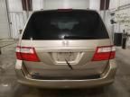 2005 Honda Odyssey EXL