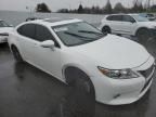 2013 Lexus ES 300H