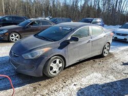 Salvage cars for sale at Cookstown, ON auction: 2013 Hyundai Elantra GLS