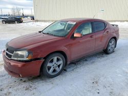 2008 Dodge Avenger R/T en venta en Rocky View County, AB