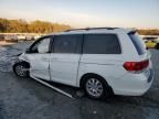 2008 Honda Odyssey EXL