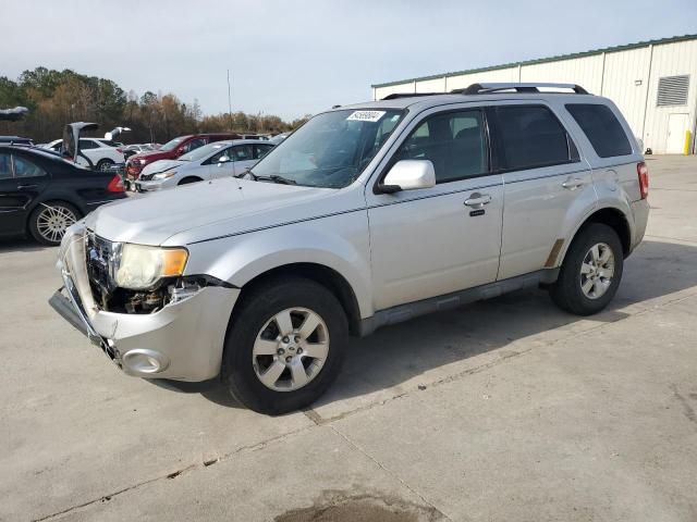 2011 Ford Escape Limited