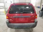 2007 Ford Escape XLT