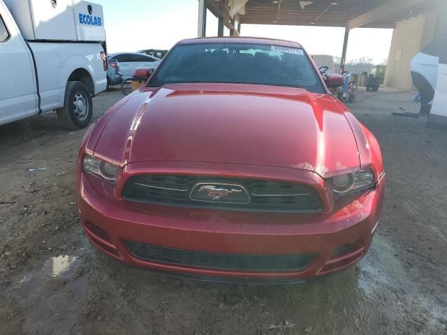 2013 Ford Mustang